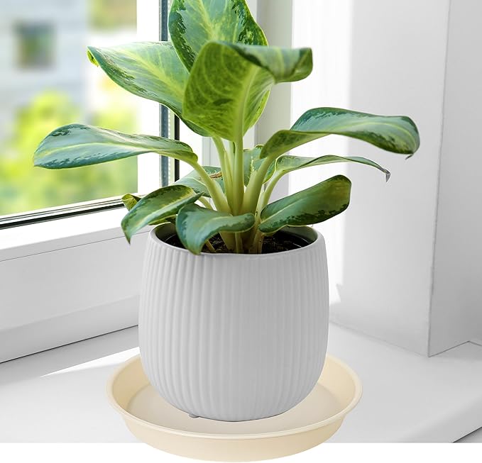 6 Pack of 10 inch Plant Saucer Blue, Heavy Duty Plastic Plant Saucer 10 inch - Image 4