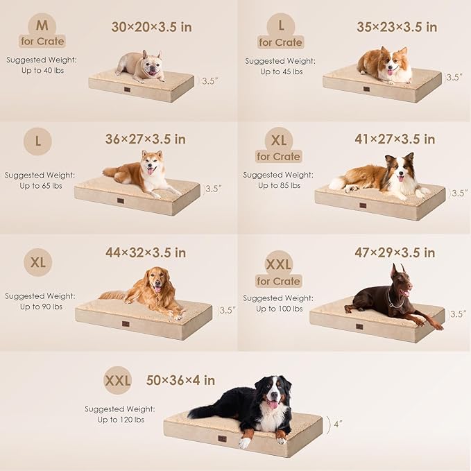 EHEYCIGA Orthopedic Medium Dog Beds - Image 2