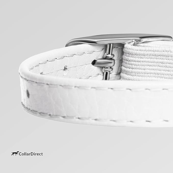 CollarDirect Leather Cat Collar, Cat Safety Collar - Image 3