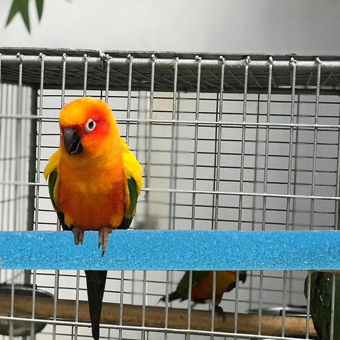 Bird Perches for Cage - Image 6