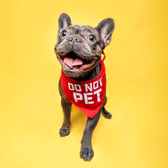 Do Not Pet Triangle Dog Bandana - Image 2