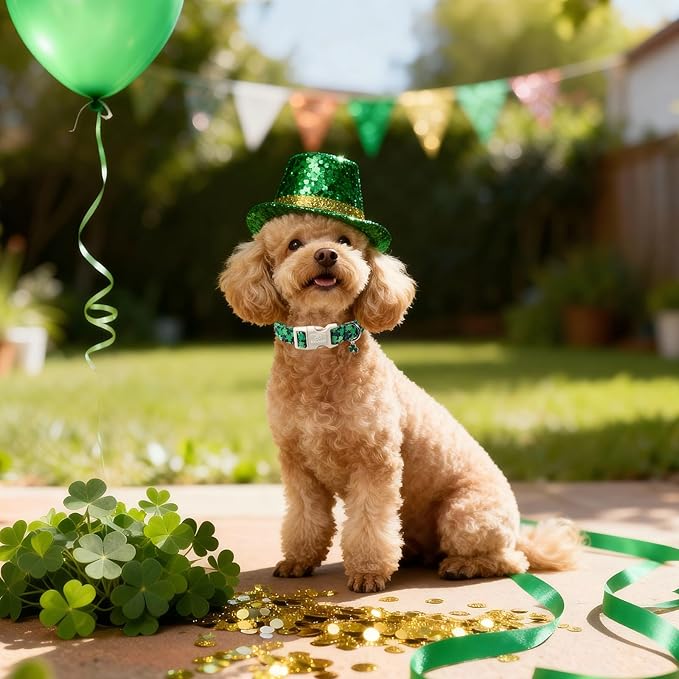 St Patricks Day Dog Collar for Small Dogs - Image 3