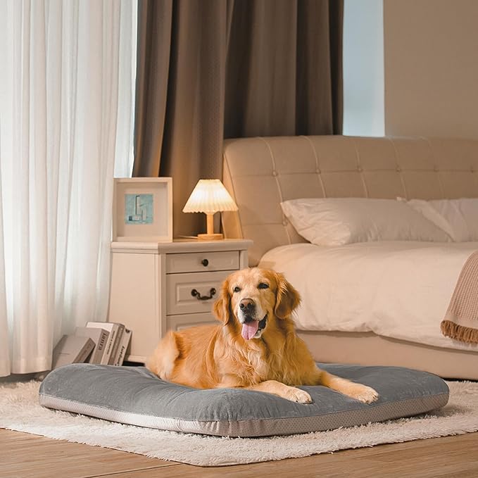 Dog Bed for 150 Pounds Dogs, Super Comfy Large Bed, 47 Inches Orthopedic - Image 9