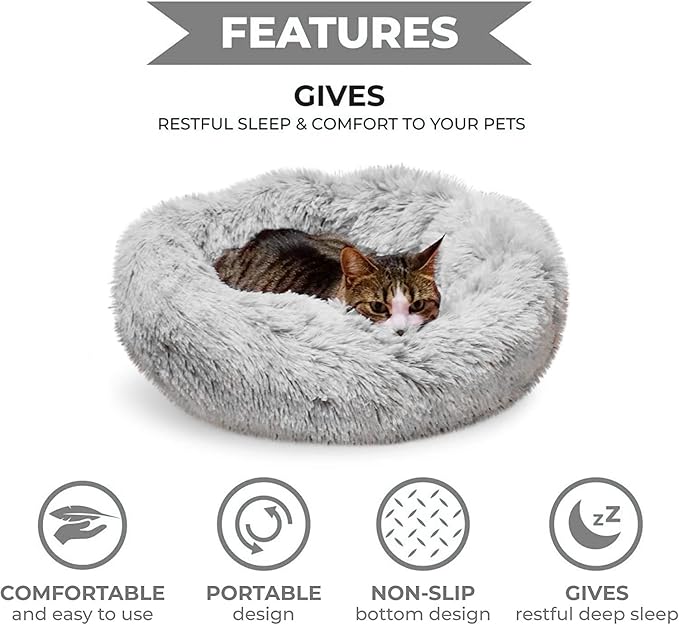 Whiskers & Friends Cat Bed, Cat Beds - Image 3
