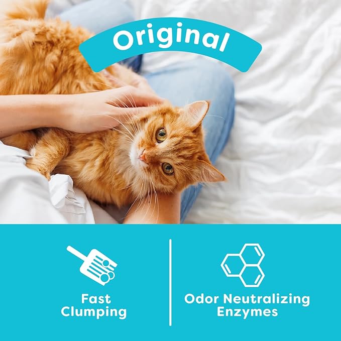 sWheat Scoop Natural Wheat Cat Litter, Fast Clumping - Image 4