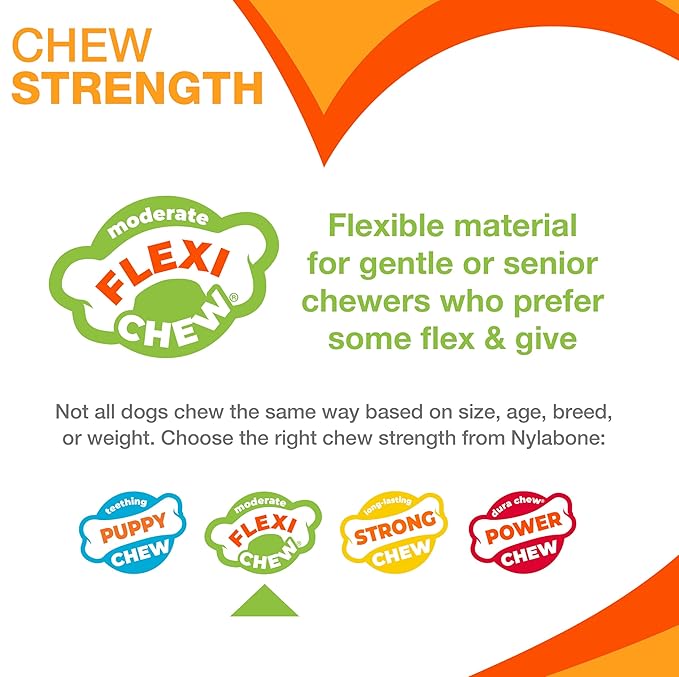 Nylabone Flexi Chill & Chew Toy - Image 3