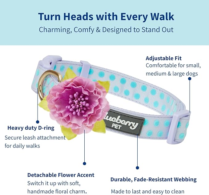 Blueberry Pet Dog Collar - Image 2