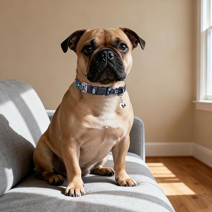 XS Dog Collar with Bell - Image 5