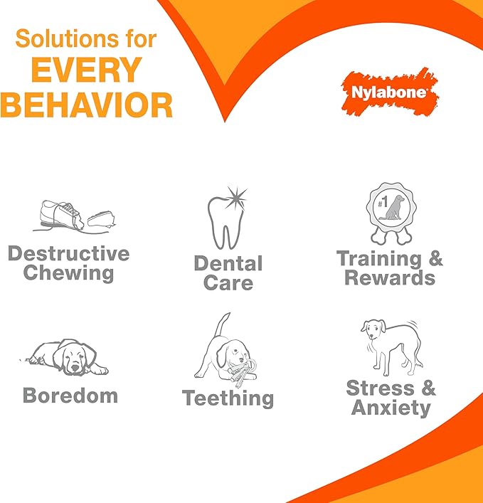Nylabone Textured Bone Power Chew Toy - Image 8