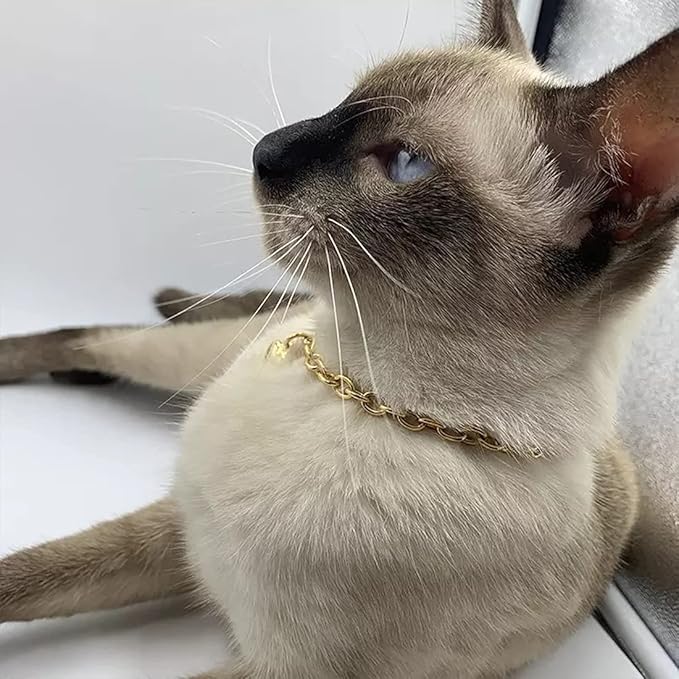 HOWWFALY Dog Collar and Cat Chain Necklace Stainless Steel Adjustable 18K Gold - Image 7