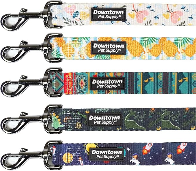 Downtown Pet Supply 6ft Dog Leash by DowntownPetSupply