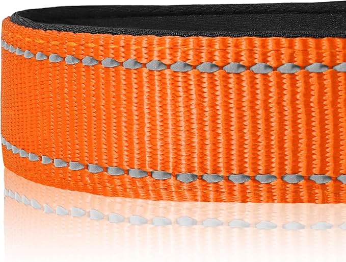 Joytale Dog Collar, Soft Neoprene Padded Breathable Nylon Pet Collar Adjustable - Image 4