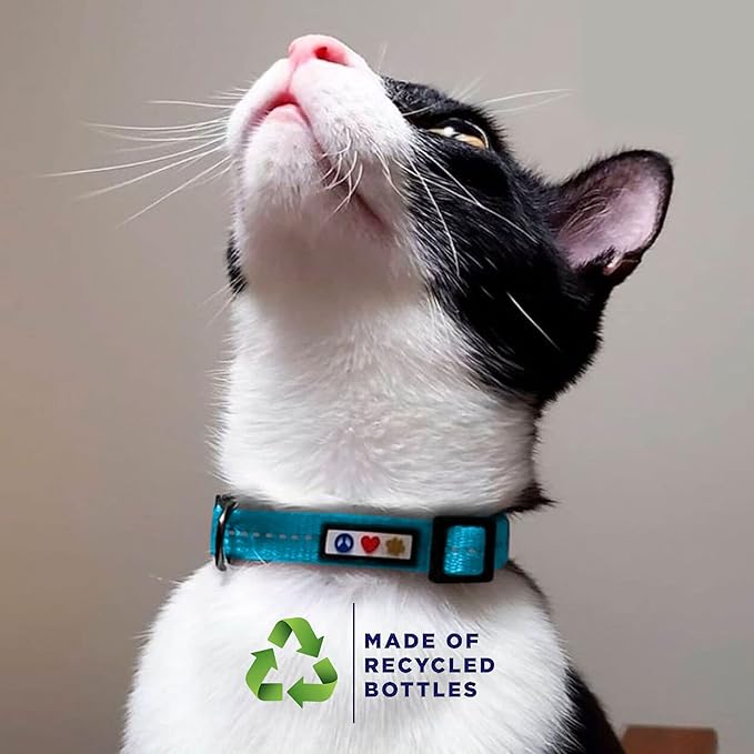 Pawtitas Recycled Blue Reflective Cat Collar – Eco-Friendly Breakaway Safety - Image 3