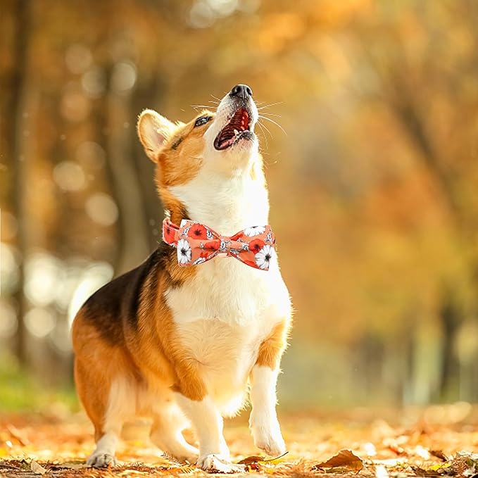 Fall Dog Collar, Pet Collar Bow Floral Pet Collar Girl Boy Holiday Pet Collars - Image 4