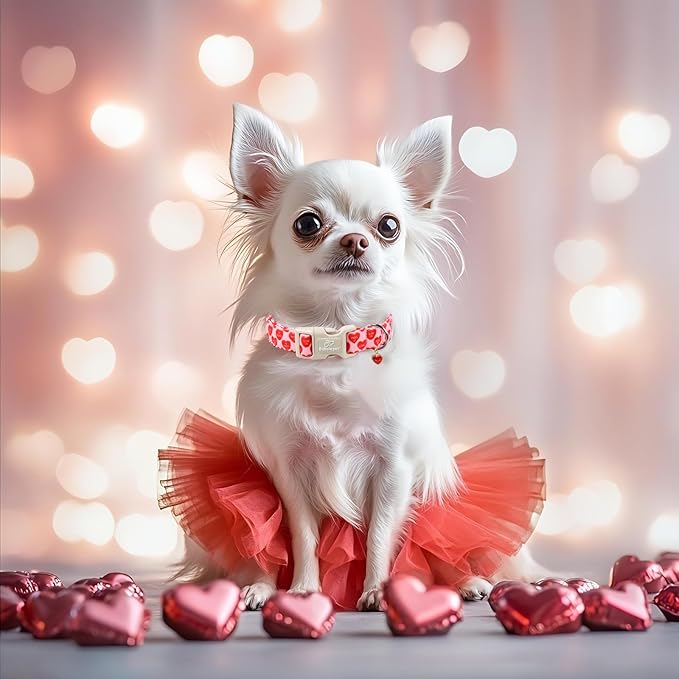 Valentines Dog Collar for Small Dogs - Image 5