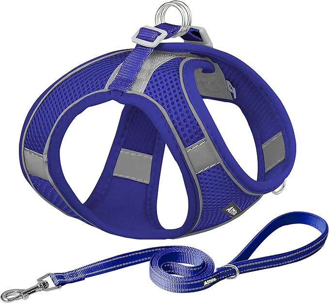 AIITLE Step in Dog Harness and Leash Set by AIITLE-FORPETSBETTERLIFE