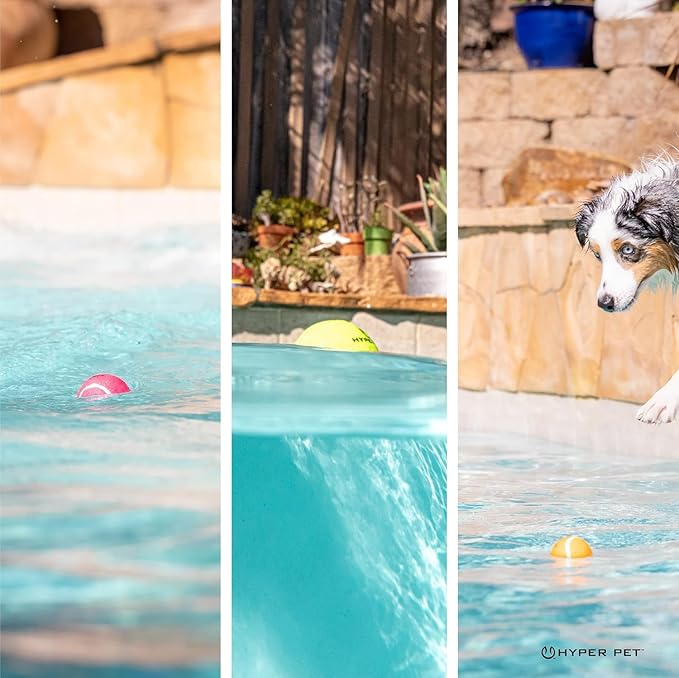 Hyper Pet MINI Tennis Balls for Dogs Interactive Toys work - Image 4