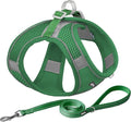 AIITLE No Pull Dog Harness and Leash Set, Step in Adjustable Dog Harness by AIITLE-FORPETSBETTERLIFE