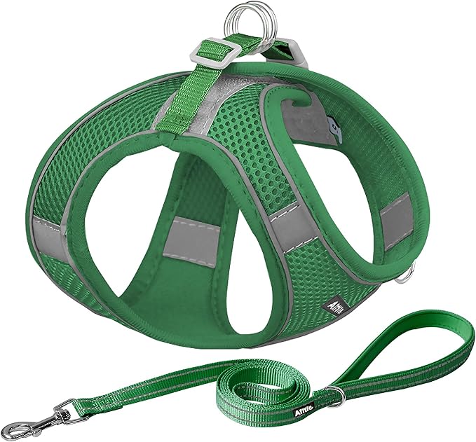 AIITLE No Pull Dog Harness and Leash Set, Step in Adjustable Dog Harness by AIITLE-FORPETSBETTERLIFE