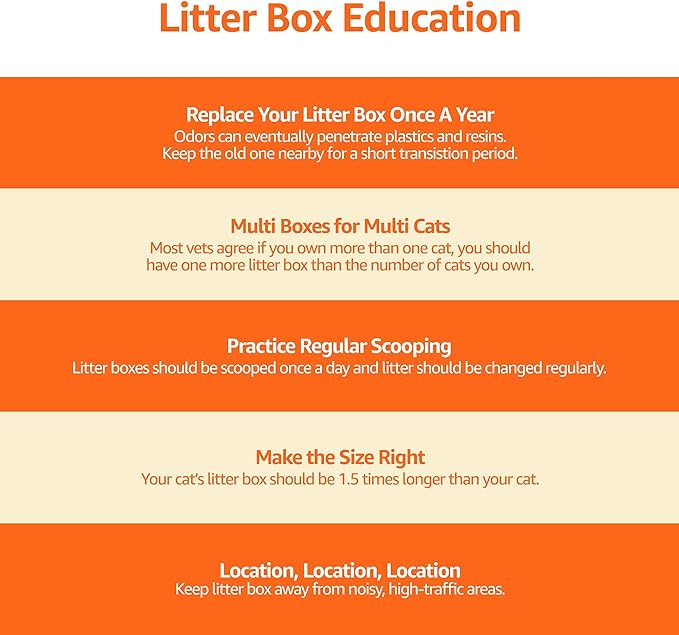 Amazon Basics Large Cat Litter Box - Image 13
