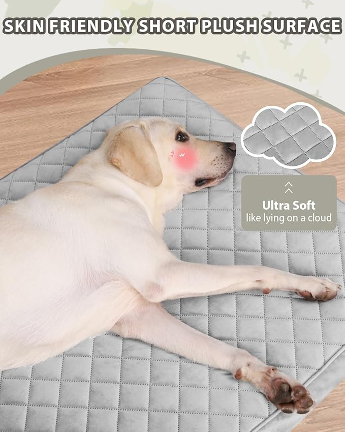 Orthopedic XL Dog Beds Large Sized Dog Waterproof Bed - Image 2