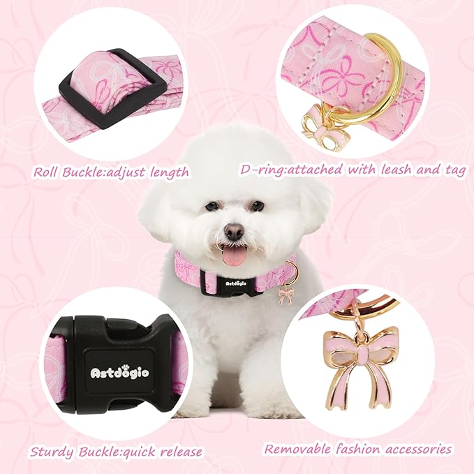 Extra Small Dog Collar, Girl Boy Dog Collars - Image 2