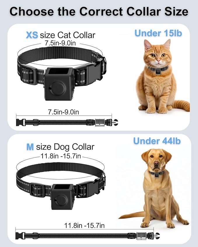 Dog Camera Collar 1080P HD Video Recording Pet POV Cam, NO WiFi NO APP - Image 7