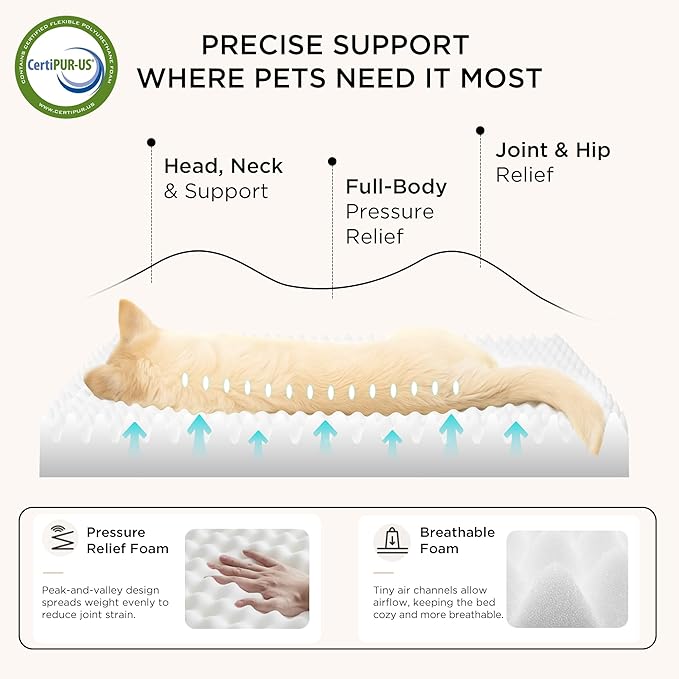 Bedsure Dog Bed for Small Dogs - Image 3
