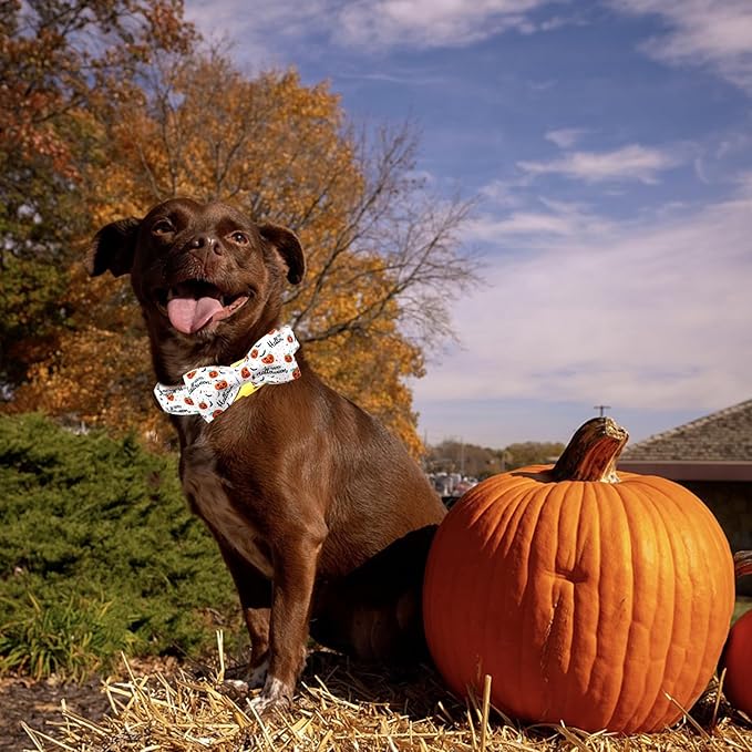 Halloween Dog Collar, Pet Collar Bow Pumpkin Pet Collar Girl Boy Holiday - Image 4
