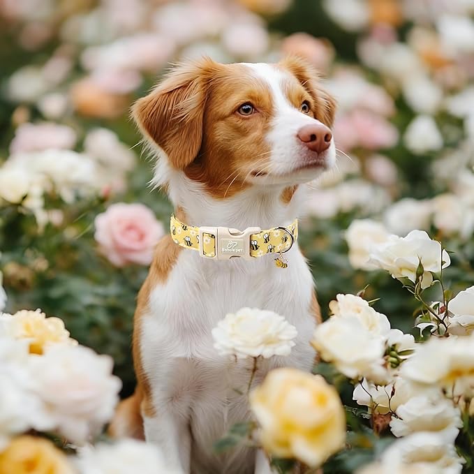 Bee & Daisy Dog Collar for Large Dogs - Image 2