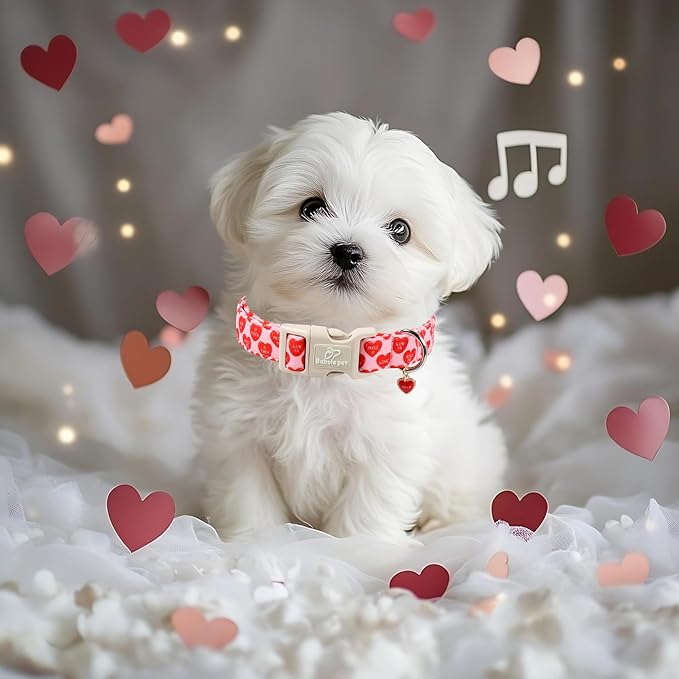 Valentines Dog Collar for Medium Dogs - Image 7