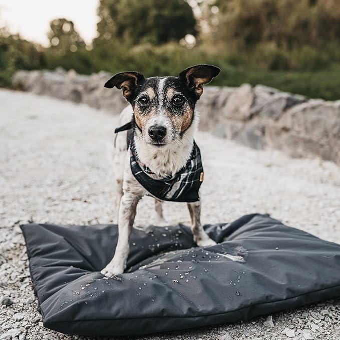 Dog Bed Cover Replacement Washable. 44 "L X 32 "W X 4 "H Washable Removable - Image 7