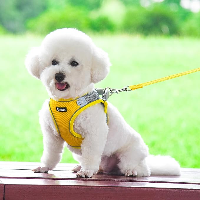 AIITLE Comfortable Dog Harness and Leash Set - Image 2