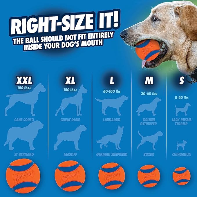Chuckit! Ultra Duo Tug Dog Toy, Small Indoor and Outdoor Dog Ball - Image 7