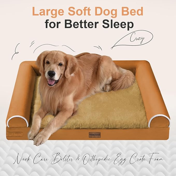 Large Dog Bed Orthopedic Washable: Beds Bolster XL Bed Medium Large Dogs Egg - Image 2