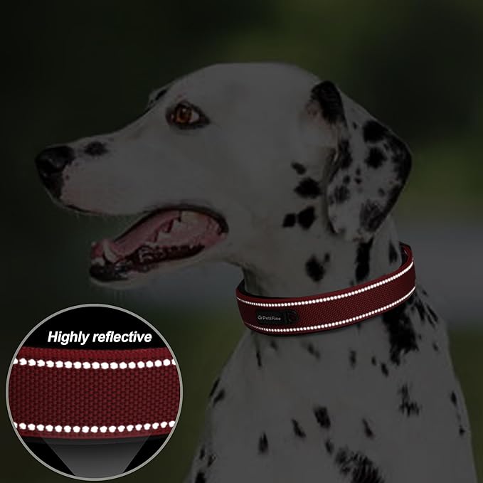 PetiFine Dog Collar with Metal Buckle, Heavy Duty Dog Collar with Soft Neoprene - Image 4