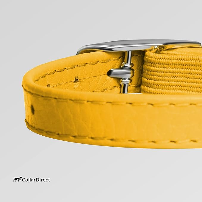 CollarDirect Leather Cat Collar - Image 4
