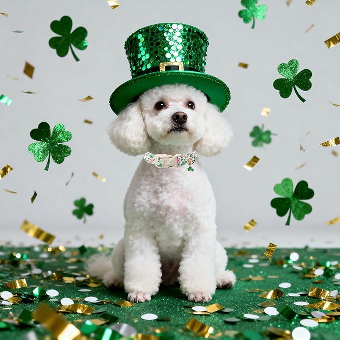 St Patricks Day Dog Collar for Puppy Small Dogs - Image 6