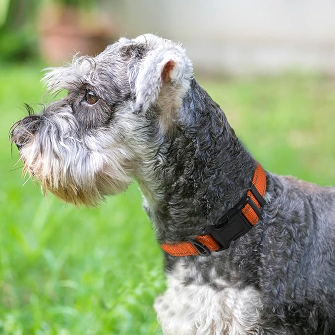 Joytale Dog Collar, Soft Neoprene Padded Breathable Nylon Pet Collar Adjustable - Image 2
