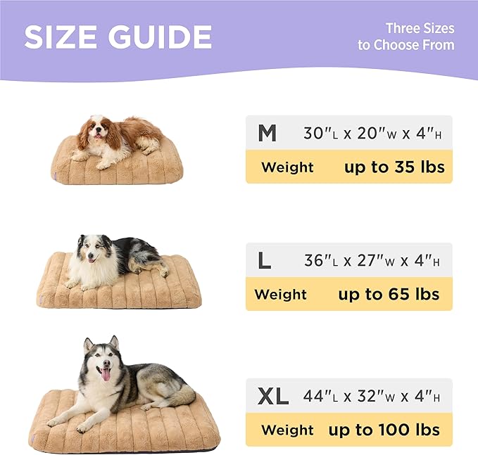 LE SURE Cute Orthopedic Dog Bed - Image 6