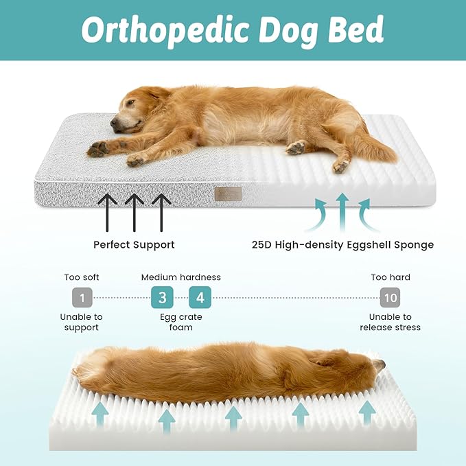 Dog Crate Bed for Large Size Dogs, Rectangular Orthopedic Dog Beds, Foam - Image 2