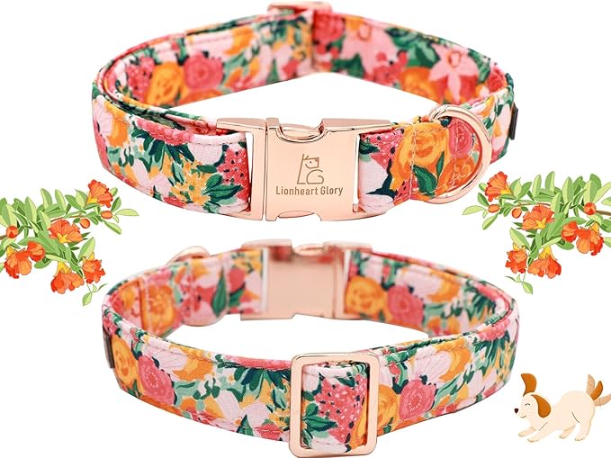 Lionheart Glory Cute Floral Pattern Pet Collar - Image 4