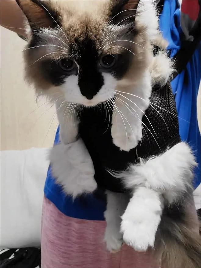 Pet Carrier Backpack - Image 4