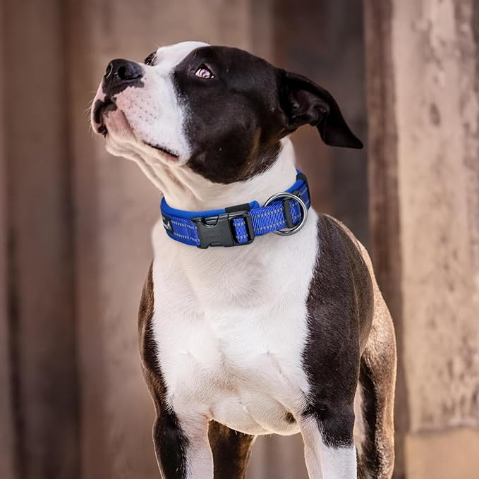 EXCELLENT ELITE SPANKER Reflective Dog Collar Classic Soft Padded Breathable - Image 8