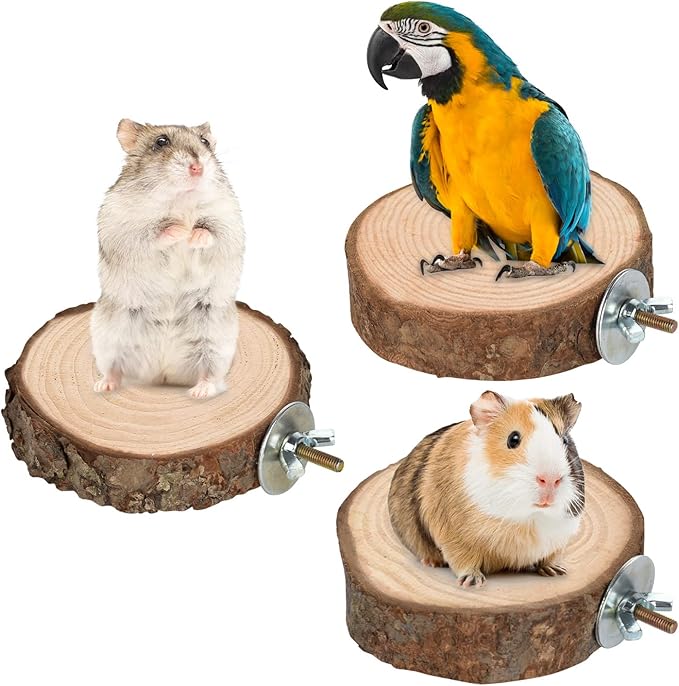 9 PCS Natural Wood Bird Perch, Wooden Parrot Perch Stand Bird Cage Branches - Image 3