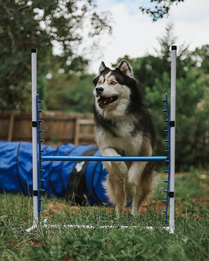 Better Sporting Dogs 4 Pack Adjustable Dog Agility Bar Jumps w/Cup Strips | - Image 3
