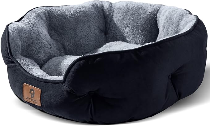 Asvin Small Dog Bed for Small Dogs, Cat Beds for Indoor Cats, Pet Bed for Puppy by Asvin