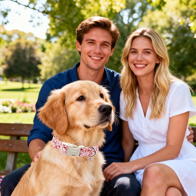 DOGWONG Cute Dog Collar, Girl Female Dog Collars - Image 4