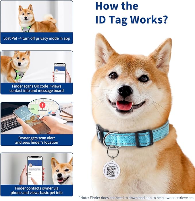 Reflective Dog Collar for Large Dogs - Image 5