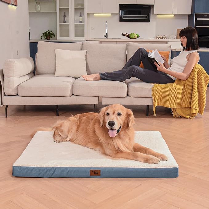 Dog Beds for Large Dogs, Comfort Orthopedic Dog Bed for Extra Large Dogs - Image 6